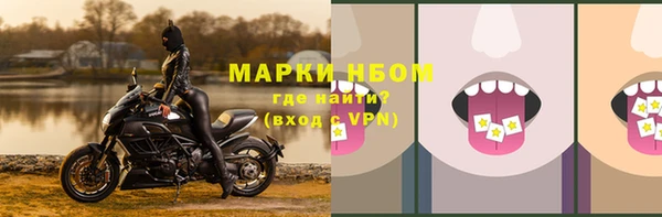 тгк Алзамай