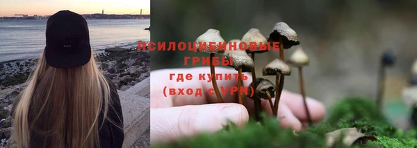 тгк Алзамай